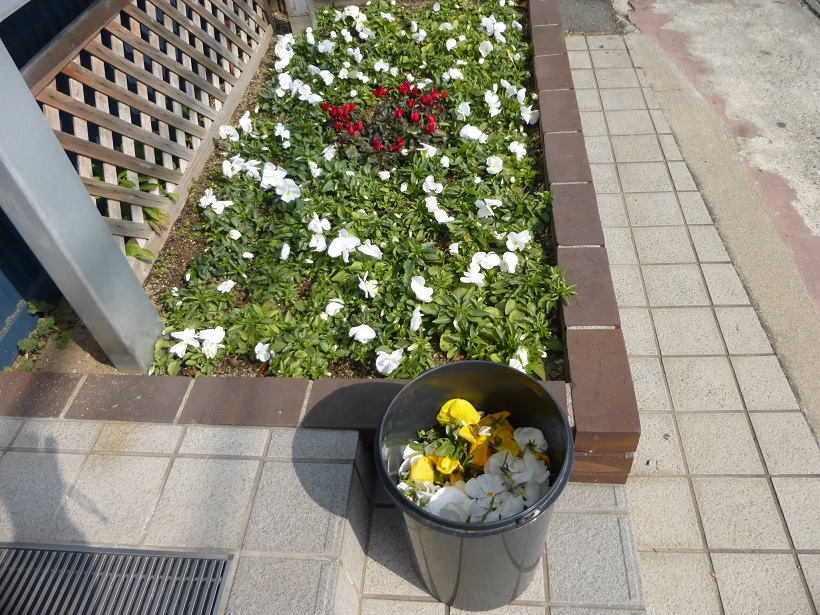 花とおじさん。_f0205367_17244686.jpg