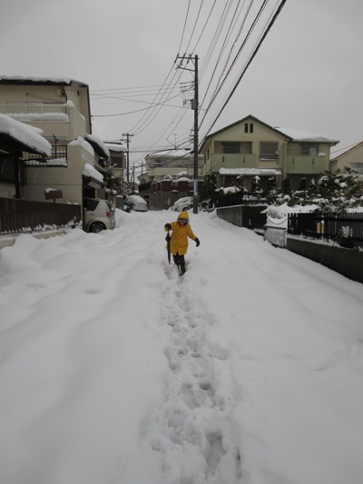 さらに大雪_c0310571_21165589.jpg