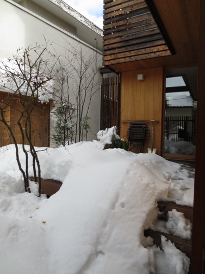 さらに大雪_c0310571_21172437.jpg