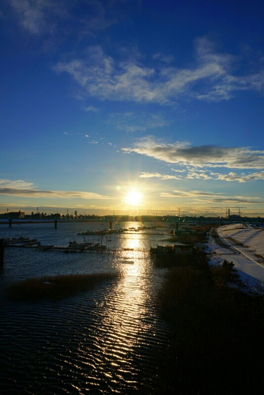 14.02.16 残雪の江戸川早朝散歩～LIVE～♪♪_e0240573_7214355.jpg