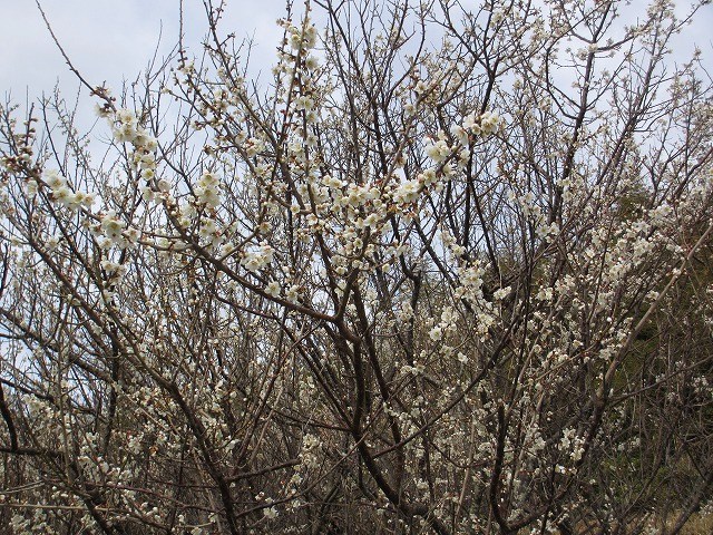 b0182884_23555764.jpg