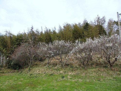 b0182884_23574619.jpg