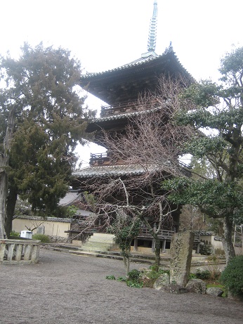 f0210495_8451212.jpg