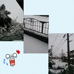 f0310706_2257515.jpg