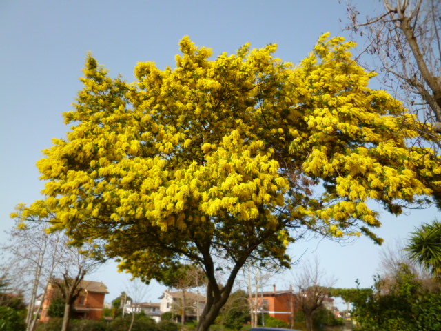 f0315911_22543024.jpg