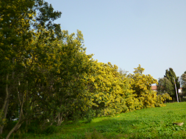 f0315911_238384.jpg
