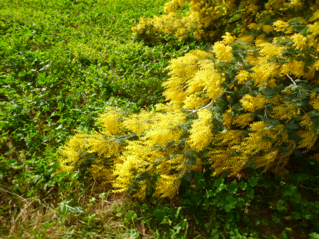 f0315911_2393617.jpg