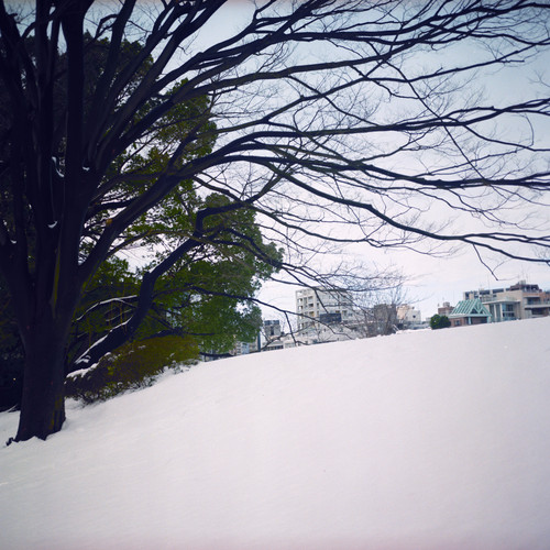 東京で一番好きな景色_b0212922_02422100.jpg
