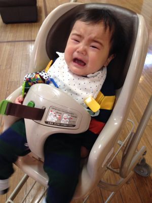 ベビーカーはムリ とくだね日記2 子育てあれこれ