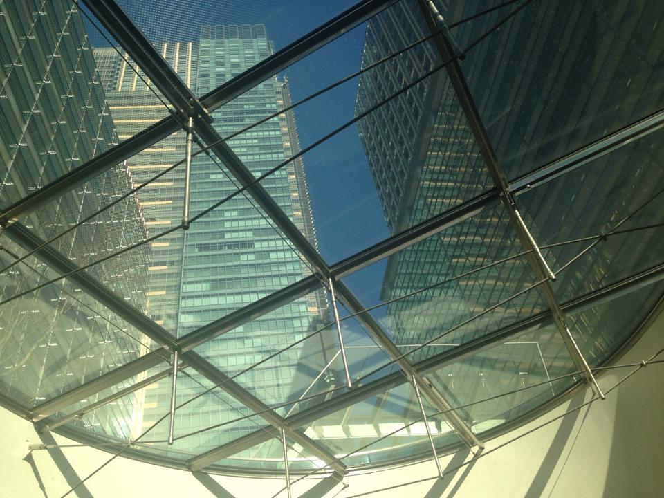 しゃきっと大根と油揚げのささっと炒め_d0104926_2212946.jpg