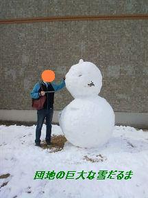 雪の日々と　ごはんなど_b0102728_1329468.jpg