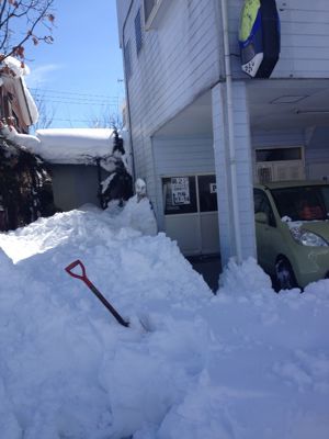 またまた大雪‼_a0246432_94143.jpg