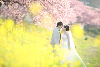 河津桜と星空の結婚前撮り写真 静岡のウェディングフォト Petite Rose