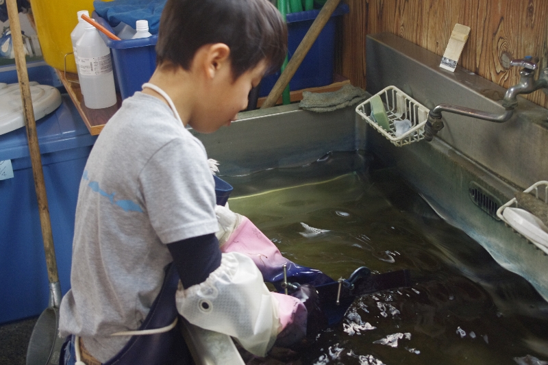 ヤマトコオリヤマにて_c0113733_0203283.jpg