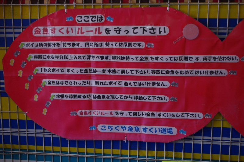 ヤマトコオリヤマにて_c0113733_032998.jpg