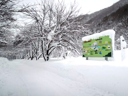 岩泉町は記録的大雪でした。_b0206037_7555370.jpg