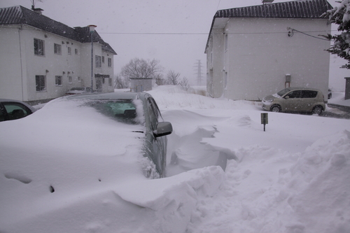 雪「倍返し」で来た。 2月17日_f0113639_19321569.jpg