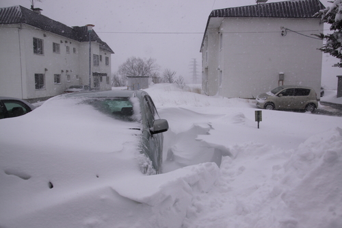 雪「倍返し」で来た。　２月１７日_f0113639_19321569.jpg