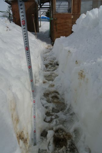大雪再び_c0063348_20472637.jpg