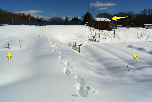 大雪再び_c0063348_20473853.jpg