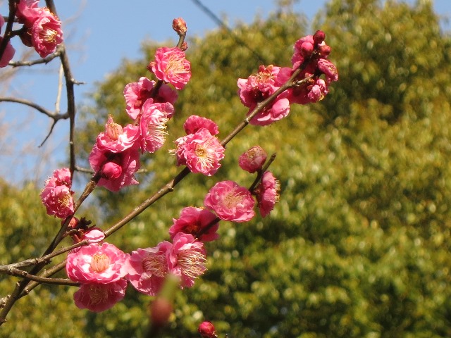 e0017051_030117.jpg