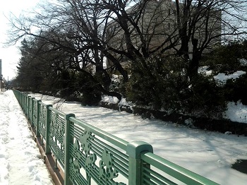大雪・再び_a0061057_21565245.jpg