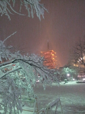また雪！_a0091157_324964.jpg