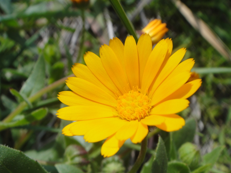 c0108460_13411511.jpg