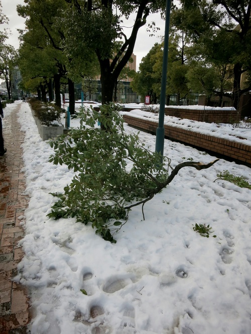 f0236260_23231779.jpg
