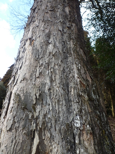 c0222861_2118566.jpg