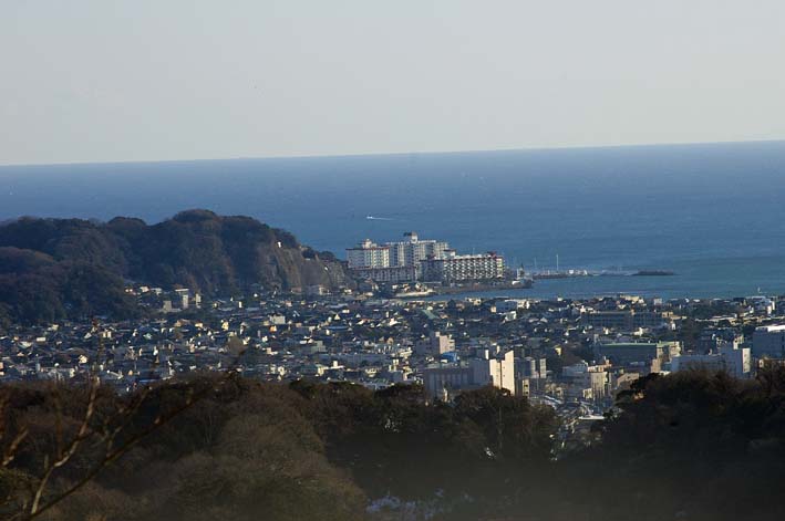 春近づく！雪残る六国見山でカワズザクラの開花確認2・16_c0014967_1216307.jpg