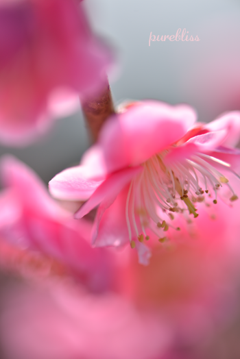 b0243873_18163100.png