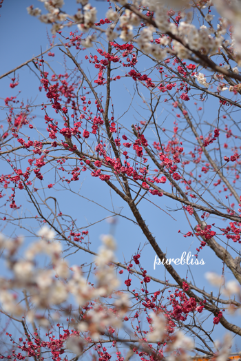 b0243873_18182945.png