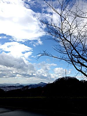 宇和島そして松山で_d0192577_153181.jpg
