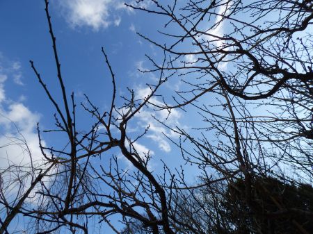 2014年2月17日 長期旅行のような_b0098584_20334374.jpg