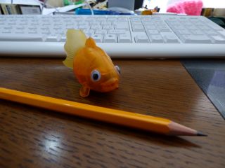 2014年2月17日 長期旅行のような_b0098584_20343543.jpg