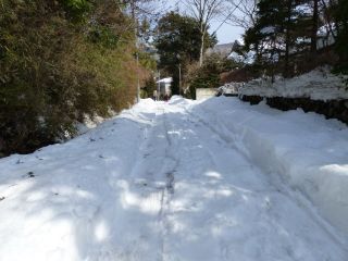 2014年2月17日 長期旅行のような_b0098584_20445123.jpg