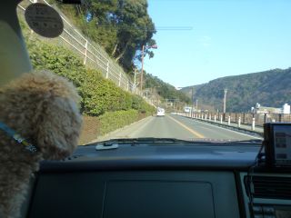 2014年2月17日 長期旅行のような_b0098584_20455125.jpg