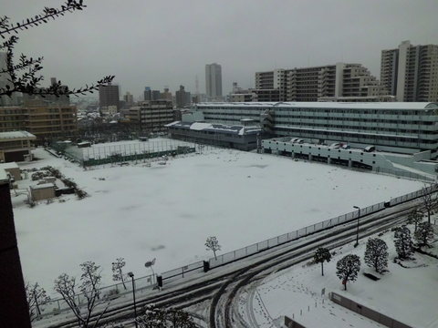 b0138985_13503089.jpg