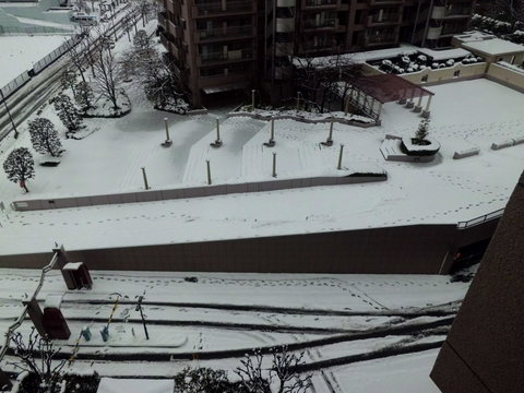 b0138985_1350797.jpg