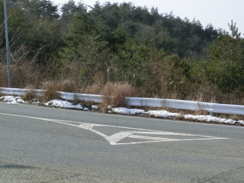 d0224489_1582086.jpg