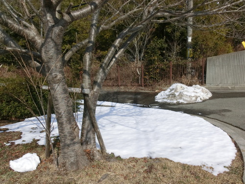 d0224489_158616.jpg