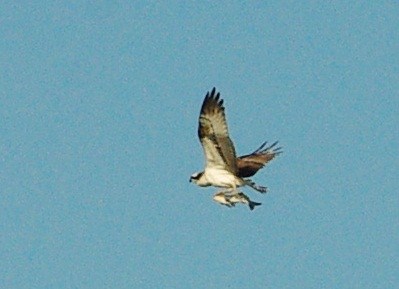 b0028598_19105839.jpg