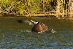 b0028598_1962534.jpg