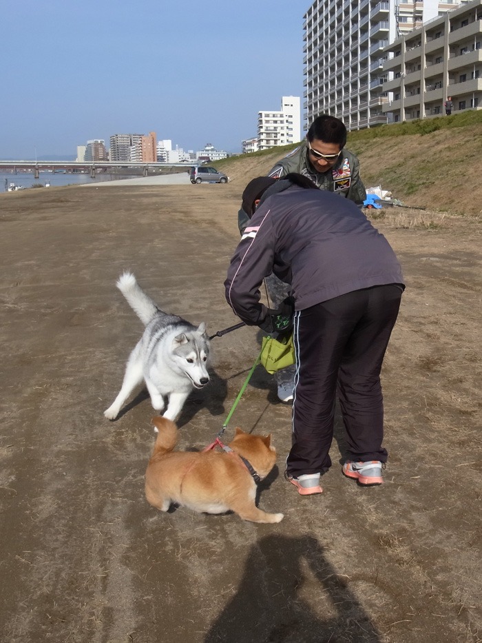 いつもの海へ_c0049299_1157916.jpg