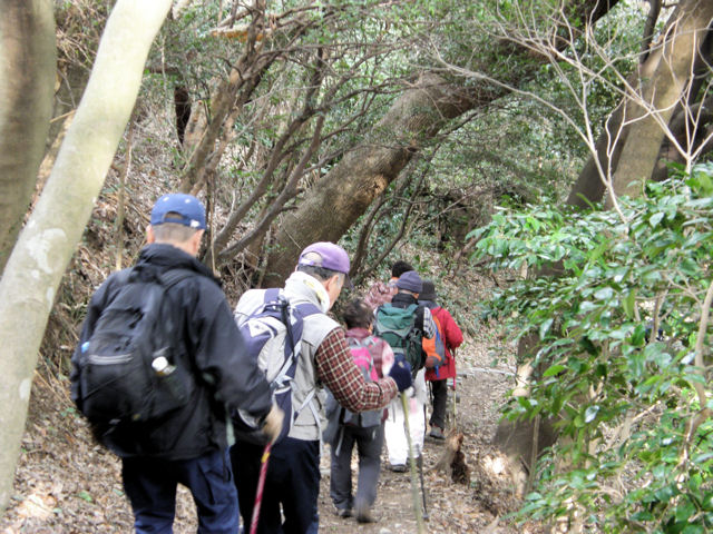 2月度は宮地嶽～在自山（２４９ｍ）　１４－２－１６_d0100601_2149022.jpg