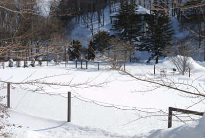 c0225605_11254744.gif