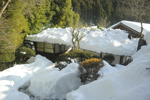 今年の雪_e0241305_16112740.jpg