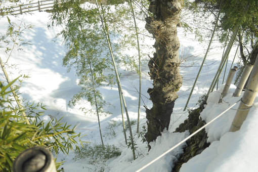 今年の雪_e0241305_16112860.jpg