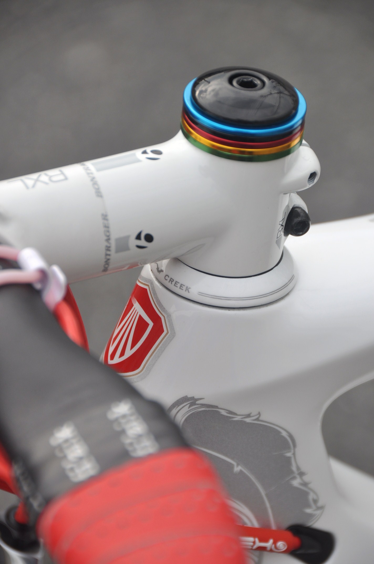 TREK 　MADONE6 　プロジェクトワン仕様_b0246207_08302358.jpg